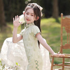 Beth and Brian Qipao-WQ Parent-child Chinese outfit, floral pattern midi Cheongsam