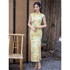 Beth and Brian Qipao-JQZ Sleeveless, Landscape Print Long Qipao Dress