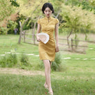 Beth and Brian Qipao-SMQ Hazel Solid Tone Jacquard Mini Qipao Dress