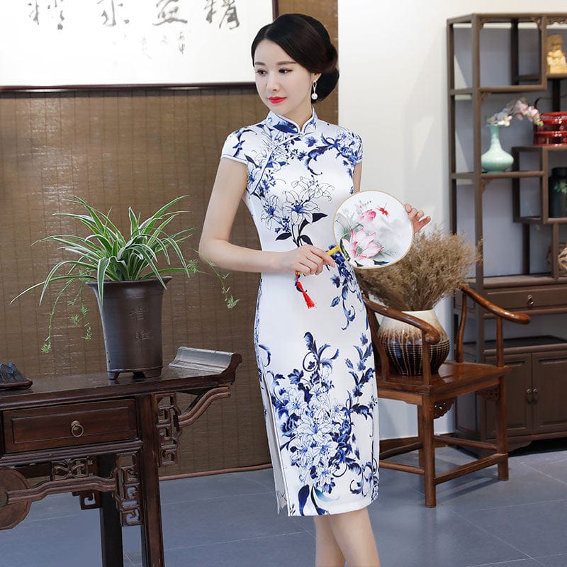 Beth and Brian Qipao-ZQYS Blue and white porcelain pattern midi Cheongsam
