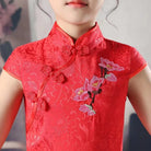 Beth and Brian Qipao-HQ Children Qipao dress, floral pattern Qipao dress for little girls